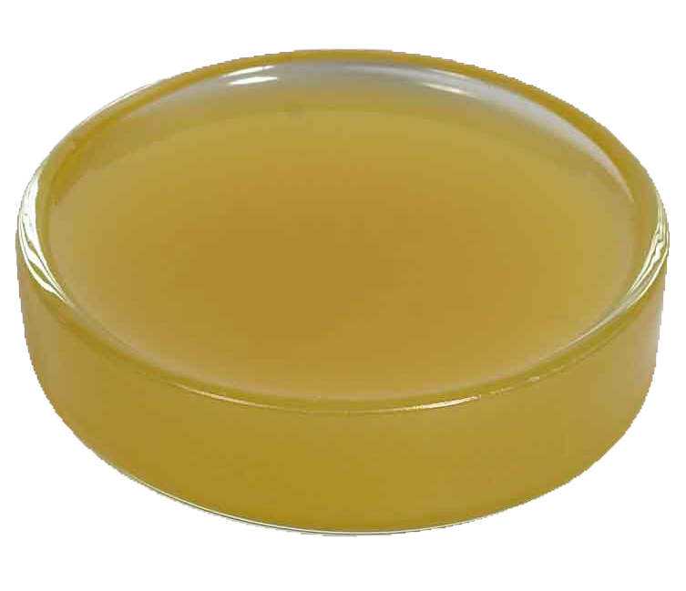 Anhydrous Lanolin PC 